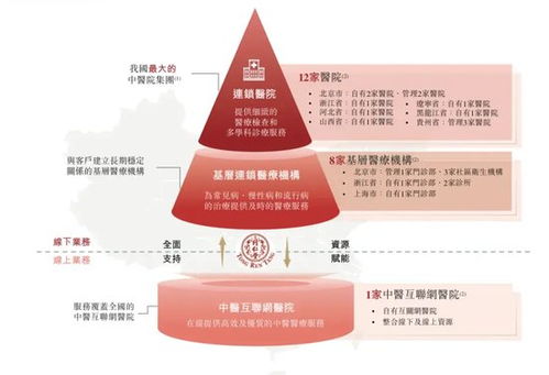 同仁堂醫(yī)養(yǎng)“買買買”背后的高速增長 商譽高懸與信息咨詢服務的新挑戰(zhàn)